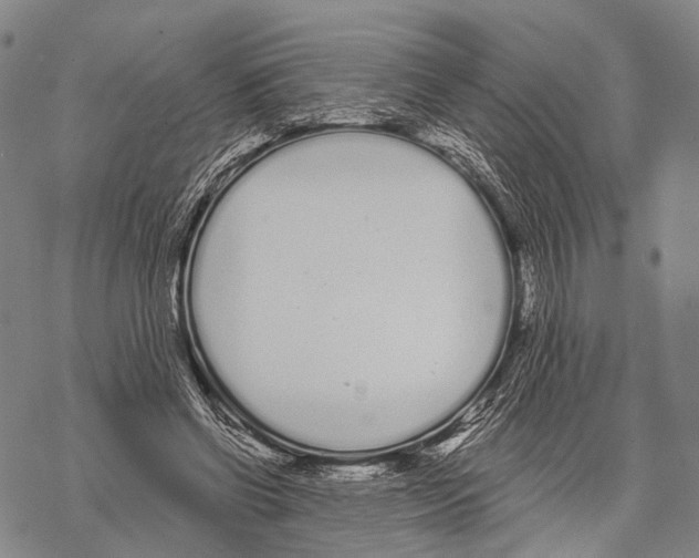 X0000068260542200605191805