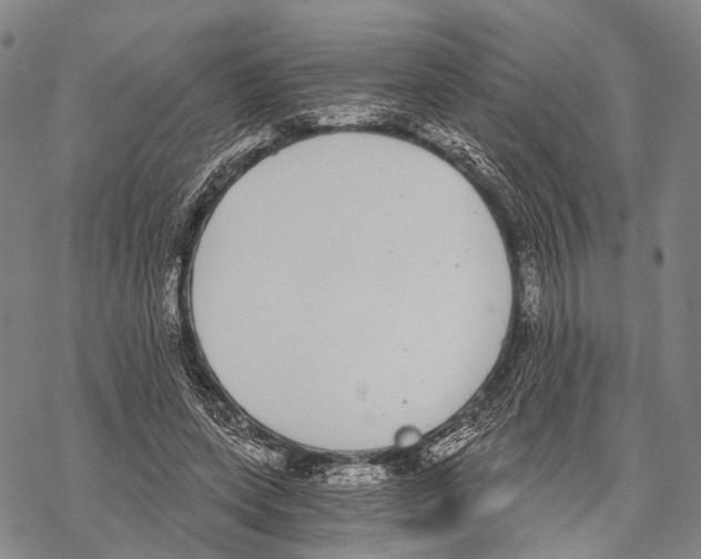 X0000068260543200605191805