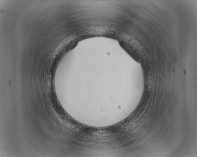 X0000068260544200605191805