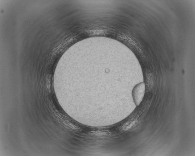 X0000068260545200605191805