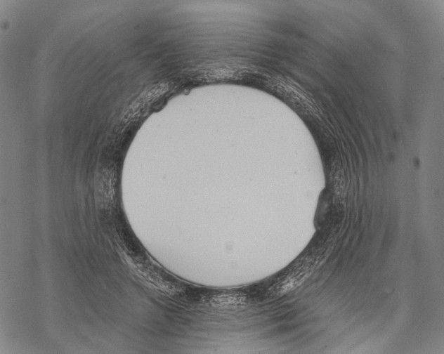 X0000068260546200605191805