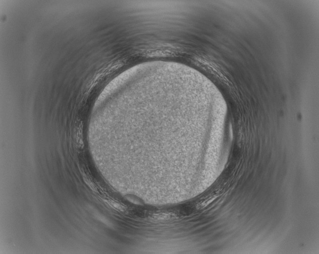 X0000068260547200605191805