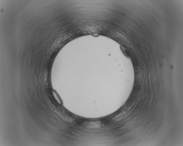 X0000068260548200605191805