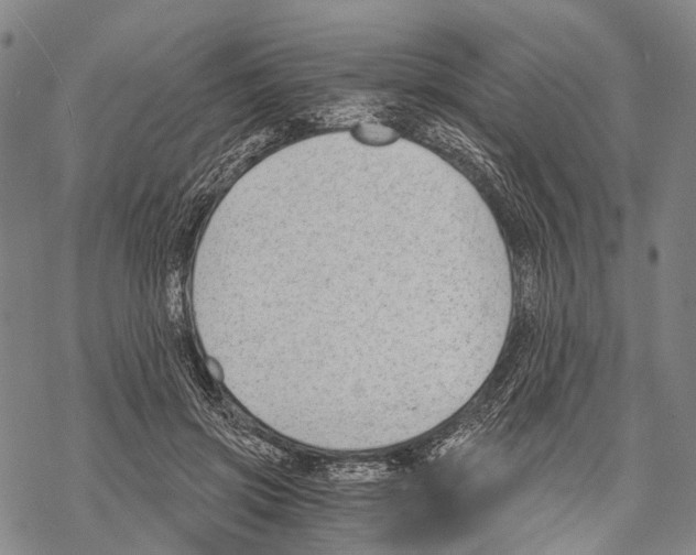 X0000068260549200605191805