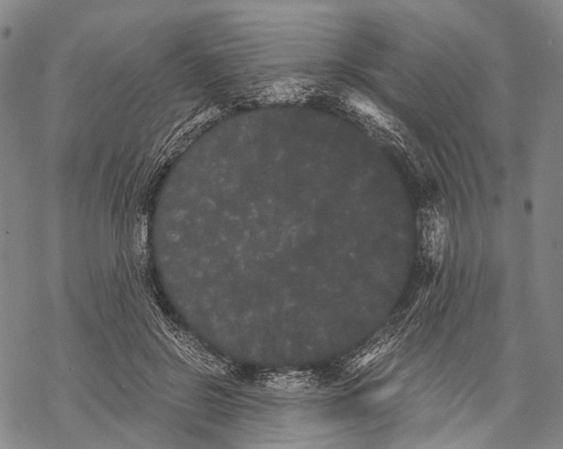 X0000068260550200605191805