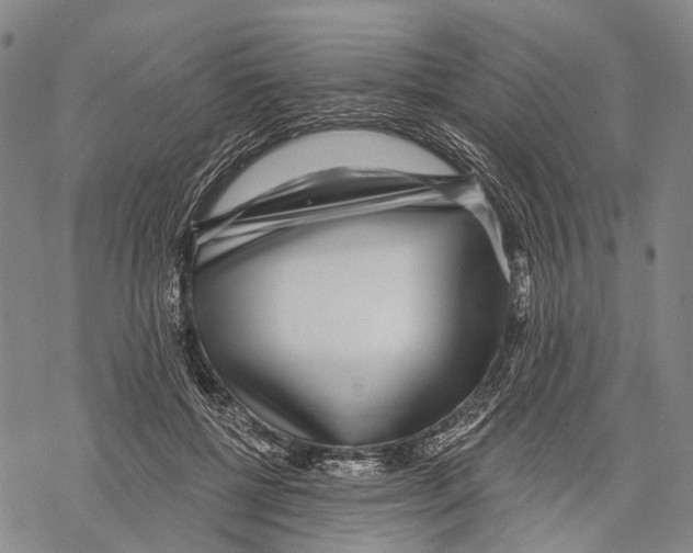 X0000068260552200605191805