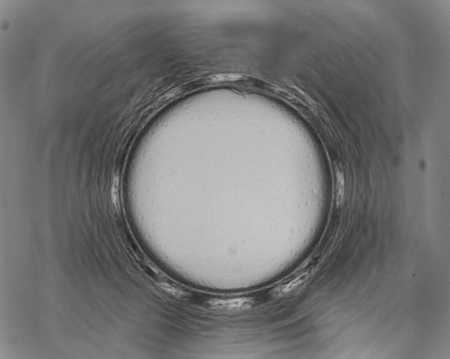 X0000068260553200605191805