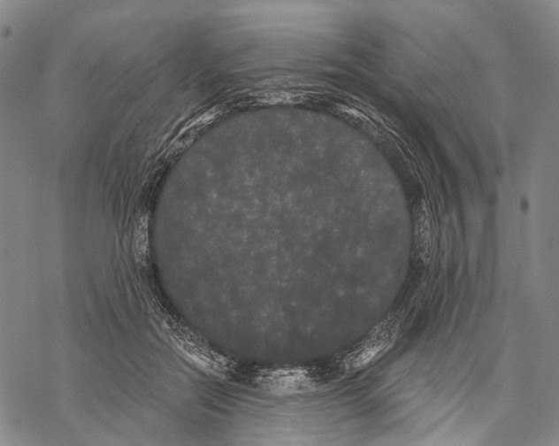 X0000068260554200605191805