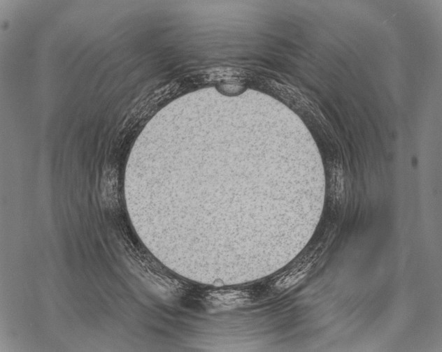 X0000068260557200605191805