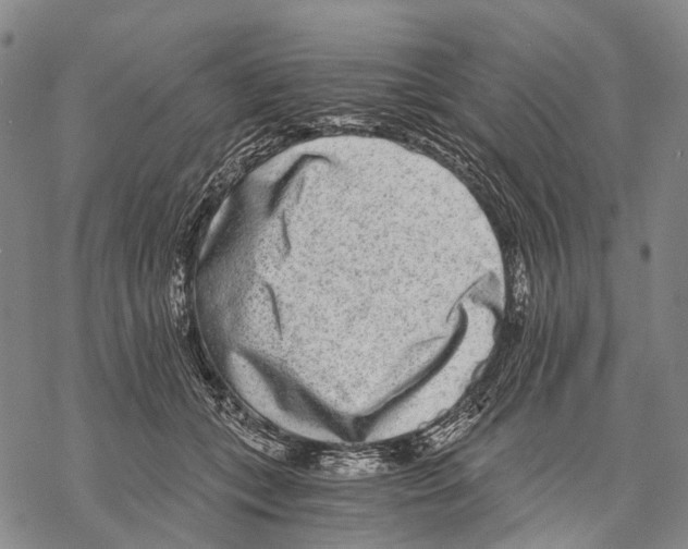 X0000068260559200605191805