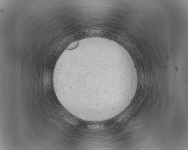 X0000068260561200605191805