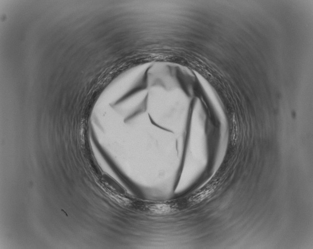 X0000068260562200605191805