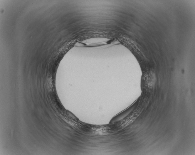 X0000068260564200605191806