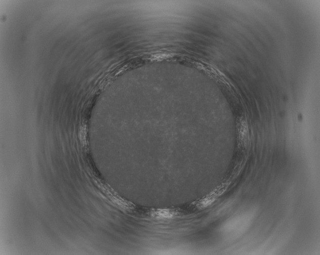 X0000068260565200605191806