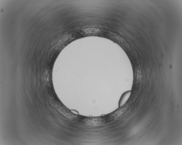 X0000068260567200605191806