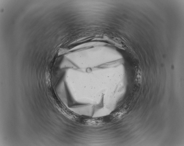 X0000068260568200605191806