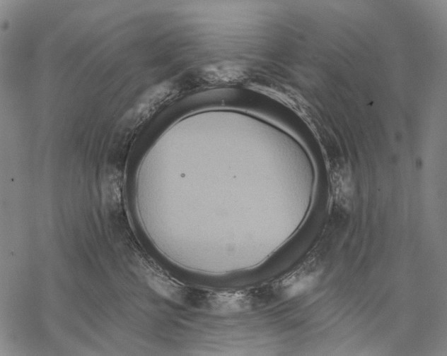 X0000068260570200605191806