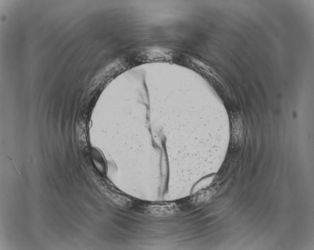 X0000068260571200605191806