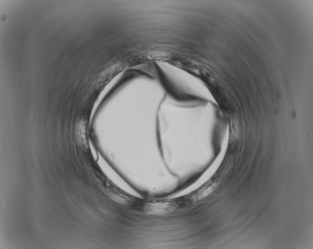 X0000068260575200605191806