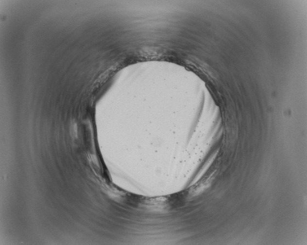 X0000068260576200605191806