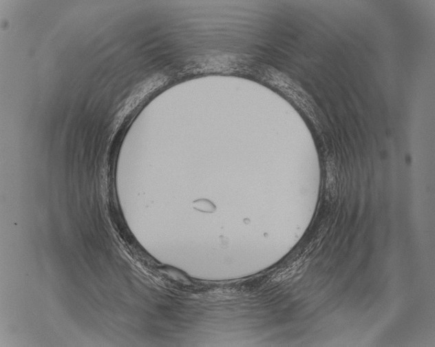 X0000068260578200605191805