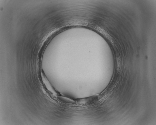 X0000068260580200605191805