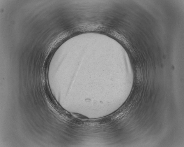 X0000068260582200605191805