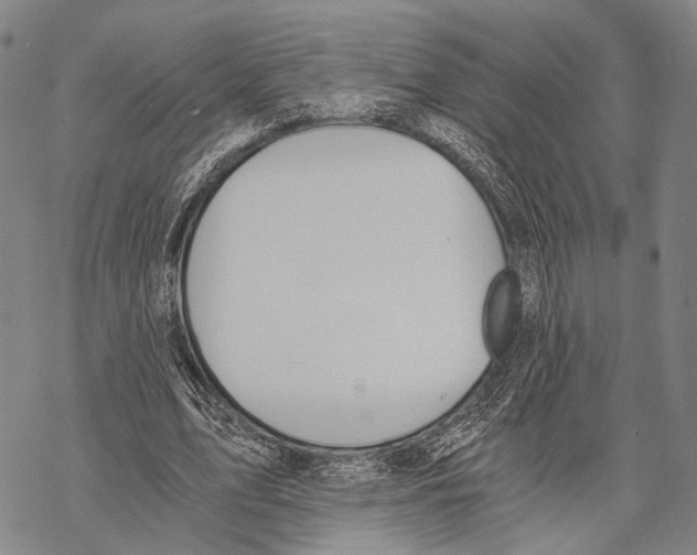 X0000068260583200605191805