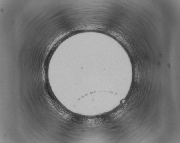 X0000068260584200605191805