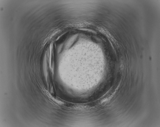 X0000068260585200605191805