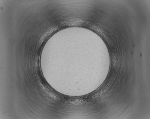 X0000068260586200605191805