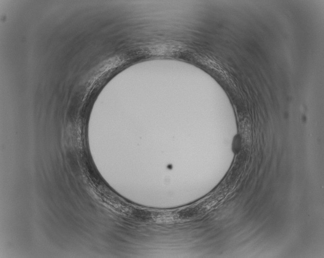 X0000068260587200605191805