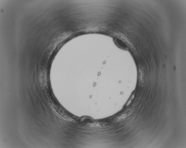 X0000068260588200605191805