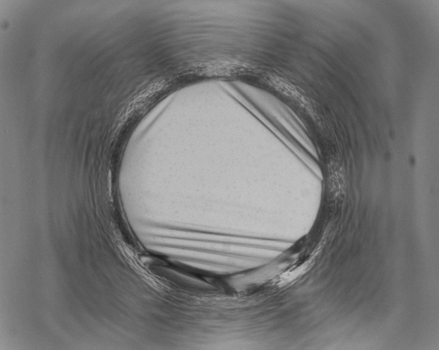 X0000068260589200605191805