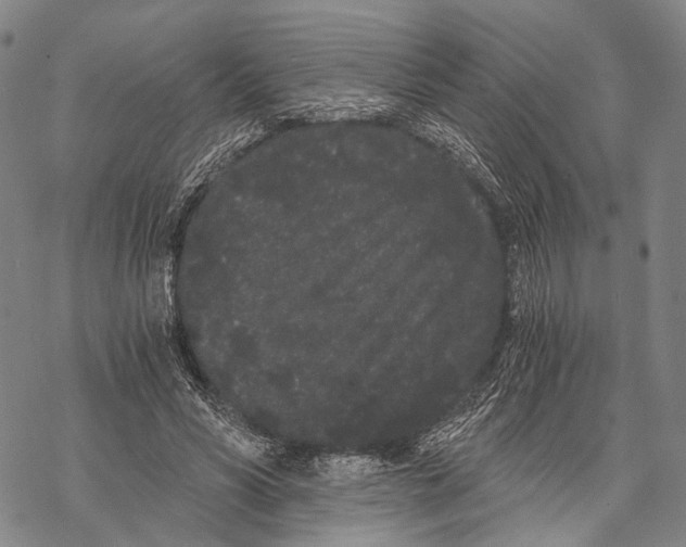 X0000068260590200605191805