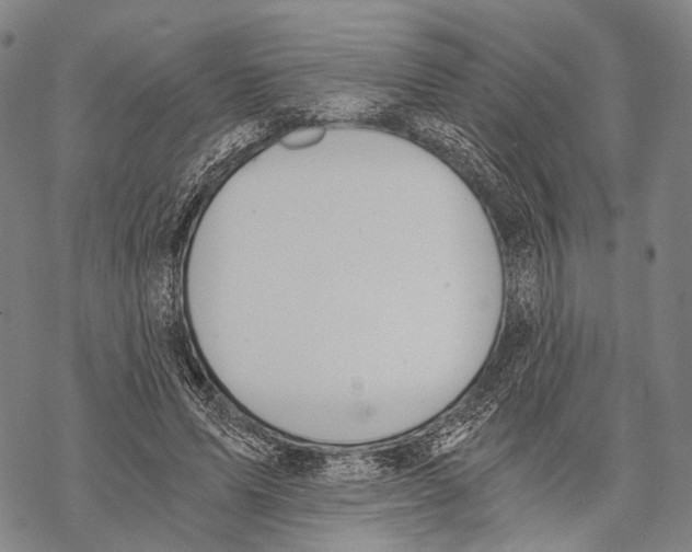 X0000068260591200605191805