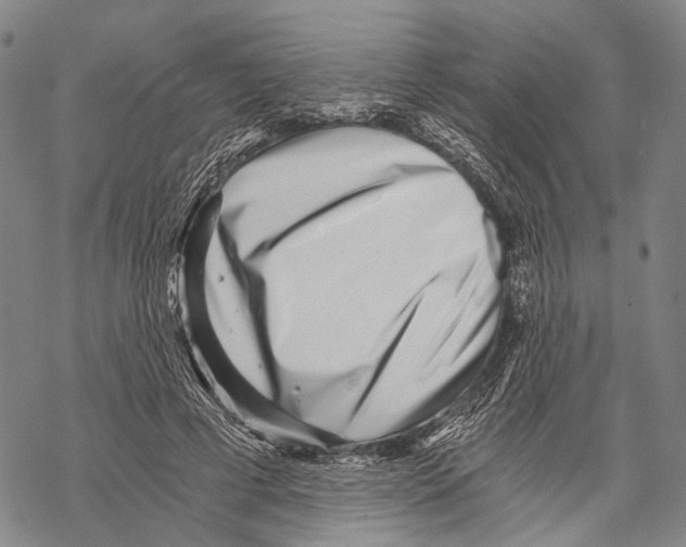 X0000068260593200605191805