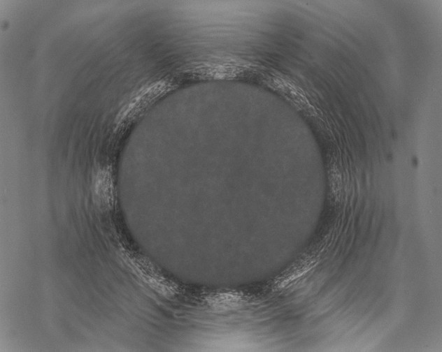 X0000068260594200605191805