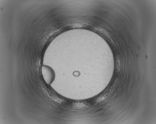 X0000068260596200605191805