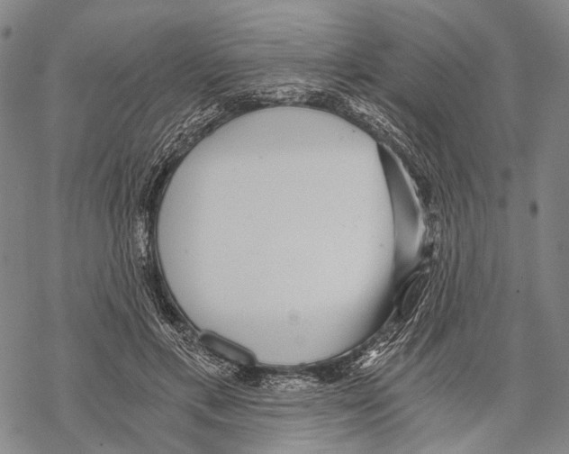 X0000068260597200605191805