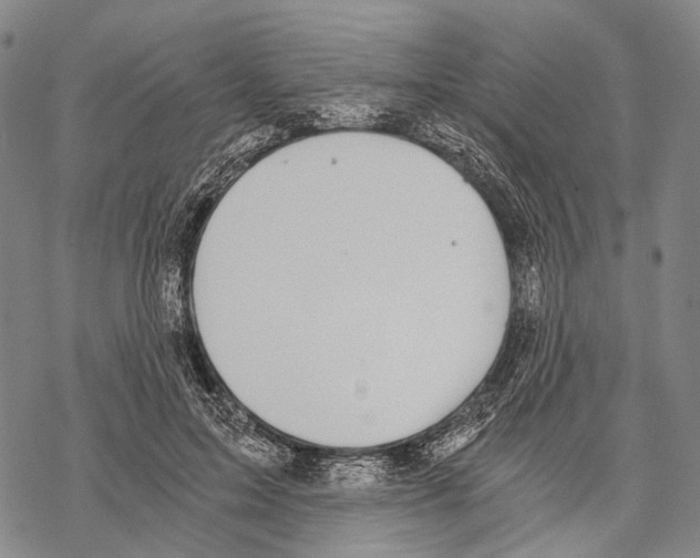 X0000068260599200605191805