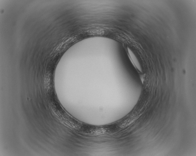 X0000068260600200605191805