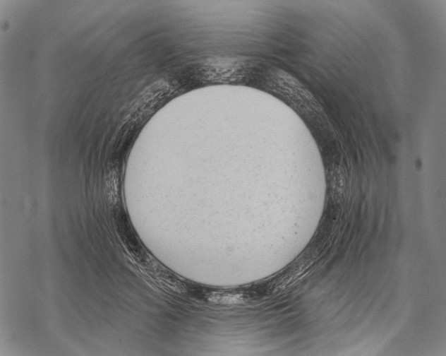 X0000068260602200605191805