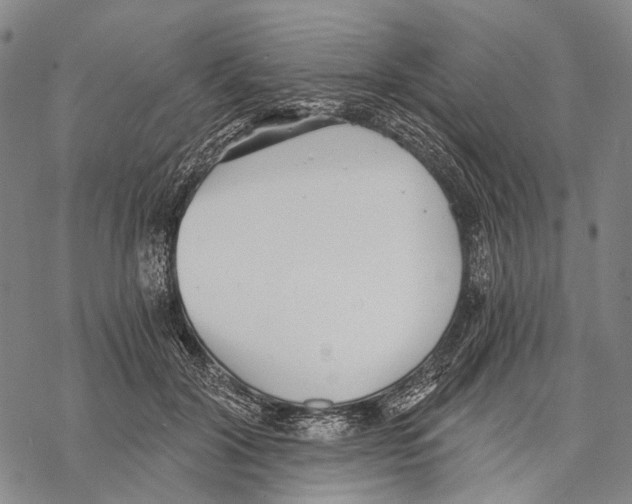 X0000068260604200605191805