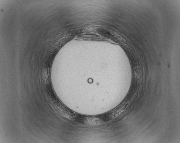 X0000068260605200605191804