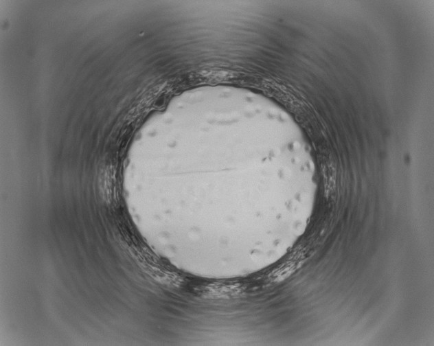 X0000068260606200605191804