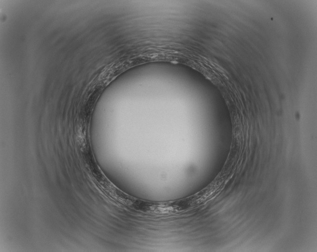 X0000068260607200605191804