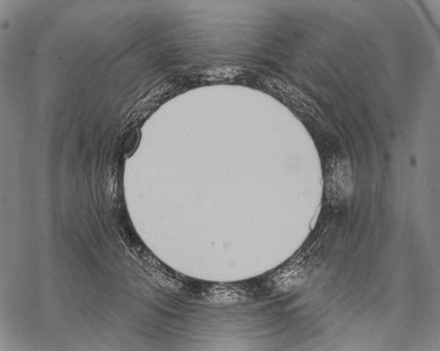 X0000068260608200605191804