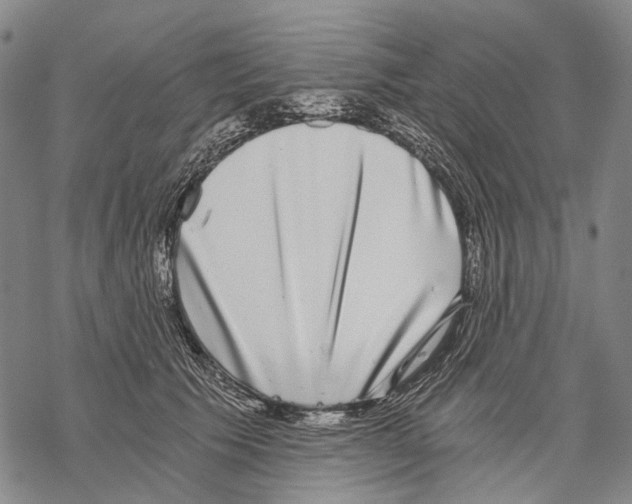 X0000068260609200605191804