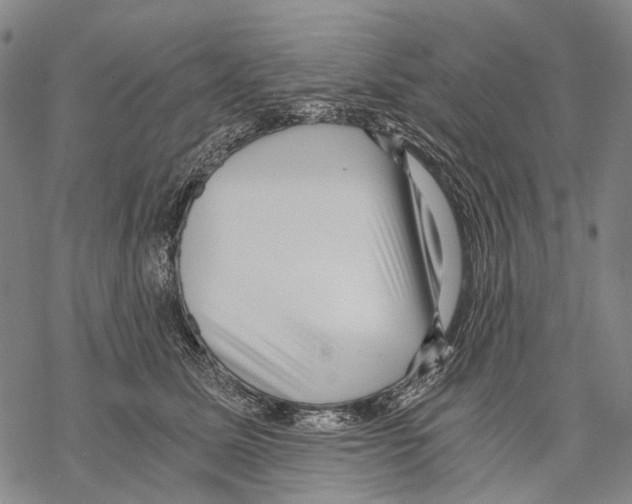 X0000068260611200605191804